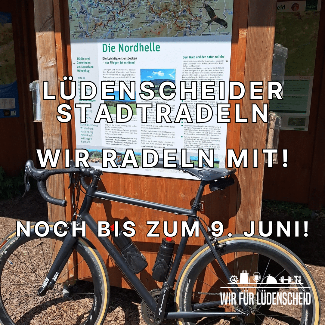 Stadtradeln 2024